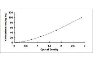 Typical standard curve (BCAM Kit ELISA)