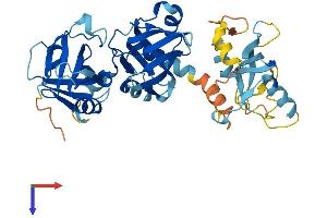 AlphaFold protein structure predicition of Human Recombinant MEIOB Protein, UniprotID Q8N635
