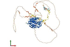 AlphaFold protein structure predicition of Mouse Recombinant Mepce Protein, UniprotID Q8K3A9