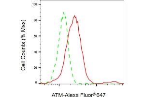 Flow cytometric analysis of ATM expression in HepG2 cells using ATM antibody ( (ABIN7797667), 1:2,000).