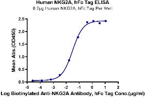 Immobilized Human NKG2A, hFc Tag at 2 μg/mL (100 μL/Well) on Fc Antibody (2 μg/mL) precoated plate.