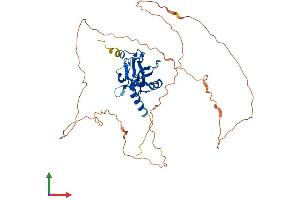 AlphaFold protein structure predicition of Human Recombinant GCM1 Protein, UniprotID Q9NP62