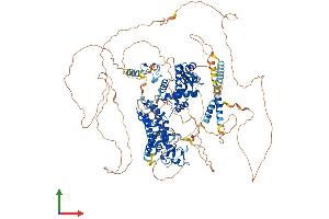 AlphaFold protein structure predicition of Mouse Recombinant Rc3h1 Protein, UniprotID Q4VGL6
