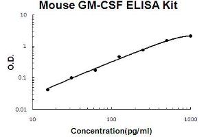Mouse GM-CSF Accusignal ELISA Kit Mouse GM-CSF AccuSignal ELISA Kit standard curve. (GM-CSF Kit ELISA)