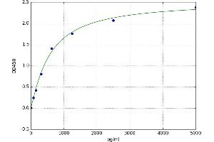 Kallikrein 1-Related Peptidase B22 (KLK1B22) ELISA Kit