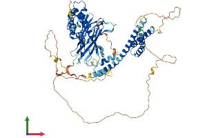 AlphaFold protein structure predicition of Human Recombinant GGA1 Protein, UniprotID Q9UJY5