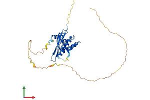 AlphaFold protein structure predicition of Human Recombinant SNX11 Protein, UniprotID Q9Y5W9