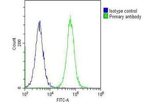 Overlay histogram showing Hela cells stained with (ABIN6243713 and ABIN6578558) (green line).