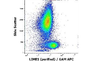 Flow cytometry intracellular staining pattern of human peripheral whole blood using anti-LIME1 (LIME-06) purified antibody (concentration in sample 9 μg/mL, GAM APC).