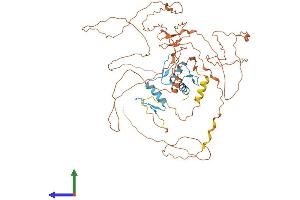 AlphaFold protein structure predicition of Mouse Recombinant Sp2 Protein, UniprotID Q9D2H6