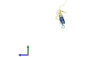 AlphaFold protein structure predicition of Human Recombinant FXYD2 Protein, UniprotID P54710