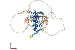 AlphaFold protein structure predicition of Human Recombinant TBC1D3D Protein, UniprotID A0A087WVF3