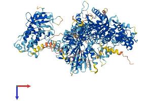 AlphaFold protein structure predicition of Mouse Recombinant Dapk1 Protein, UniprotID Q80YE7