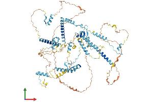 AlphaFold protein structure predicition of Human Recombinant SART1 Protein, UniprotID O43290