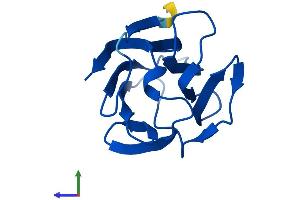 AlphaFold protein structure predicition of Mouse Recombinant Lgals7 Protein, UniprotID O54974