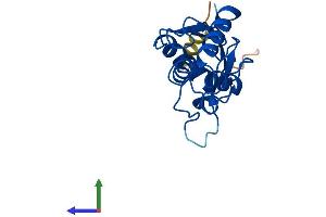 AlphaFold protein structure predicition of Human Recombinant UBE2F Protein, UniprotID Q969M7