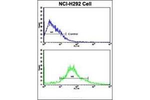 Flow cytometric analysis of NCI- cells using ALDH3A1 Antibody (N-term)(bottom histogram) compared to a negative control cell (top histogram).