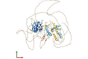AlphaFold protein structure predicition of Mouse Recombinant Prdm1 Protein, UniprotID Q60636