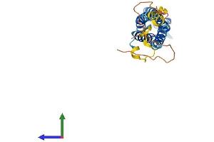 AlphaFold protein structure predicition of Human Recombinant SYNGR1 Protein, UniprotID O43759