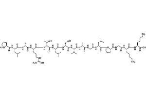Image no. 1 for Syntide-2 peptide (ABIN399830) (Syntide-2 Peptide)