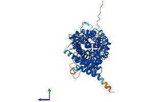 AlphaFold protein structure predicition of Mouse Recombinant Ttc39a Protein, UniprotID A2ACP1