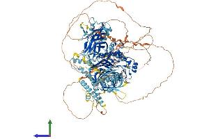 AlphaFold protein structure predicition of Human Recombinant INPPL1 Protein, UniprotID O15357