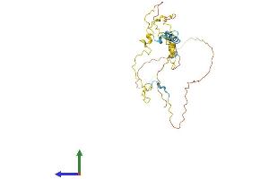 AlphaFold protein structure predicition of Human Recombinant MYOZ1 Protein, UniprotID Q9NP98