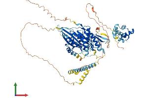 AlphaFold protein structure predicition of Human Recombinant KIF22 Protein, UniprotID Q14807