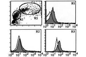 Flow Cytometry (FACS) image for anti-Transferrin Receptor (p90, CD71) (TFRC) antibody (ABIN1449271)