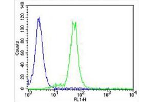Overlay histogram showing SH-SY5Y cells stained with (ABIN6242180 and ABIN6577907) (green line).