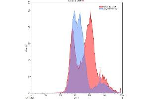 Detection of IL2 in 293F line transfected with target gene using Polyclonal Antibody to Interleukin 2 (IL2) (IL-2 anticorps  (AA 21-153))