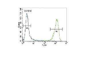 ACTA1/α-actin Antibody (C-term)  flow cytometric analysis of CEM cells (right histogram) compared to a negative control cell (left histogram).