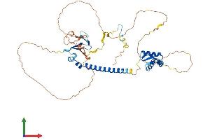 AlphaFold protein structure predicition of Human Recombinant E2F3 Protein, UniprotID O00716