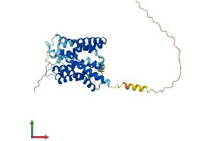 AlphaFold protein structure predicition of Mouse Recombinant Slc10a1 Protein, UniprotID O08705