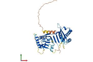 AlphaFold protein structure predicition of Mouse Recombinant Cenpl Protein, UniprotID Q3U3S3