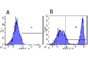 Flow-cytometry using the anti-CD20 research biosimilar antibody Rituximab   Rhesus monkey lymphocytes were stained with an isotype control (panel A) or the rabbit-chimeric version of Rituximab (panel B) at a concentration of 1 µg/ml for 30 mins at RT. (Recombinant MS4A1 (Rituximab Biosimilar) anticorps)