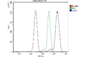 Flow Cytometry analysis of THP-1 cells using anti-Olig1 antibody (ABIN7599193). (OLIG1 anticorps  (AA 1-271))