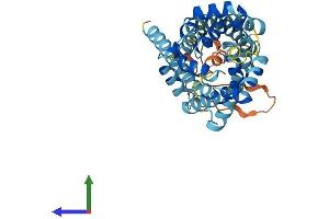 AlphaFold protein structure predicition of Mouse Recombinant Slc25a28 Protein, UniprotID Q8R0Z5
