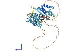 AlphaFold protein structure predicition of Mouse Recombinant Pcbp1 Protein, UniprotID P60335