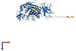 AlphaFold protein structure predicition of Mouse Recombinant Inpp5k Protein, UniprotID Q8C5L6