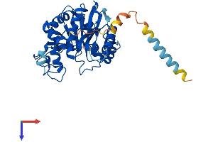 AlphaFold protein structure predicition of Mouse Recombinant B3gnt4 Protein, UniprotID Q1RLK6