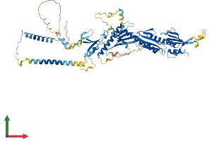 AlphaFold protein structure predicition of Human Recombinant MED17 Protein, UniprotID Q9NVC6
