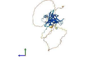 AlphaFold protein structure predicition of Human Recombinant PARD6B Protein, UniprotID Q9BYG5