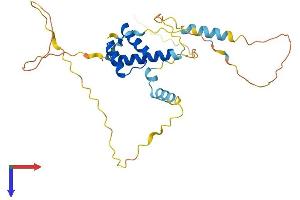 AlphaFold protein structure predicition of Human Recombinant BARX2 Protein, UniprotID Q9UMQ3