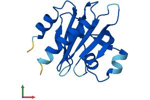 AlphaFold protein structure predicition of Mouse Recombinant Pfn3 Protein, UniprotID Q9DAD6