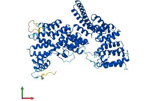 AlphaFold protein structure predicition of Human Recombinant IFT70B Protein, UniprotID Q8N4P2