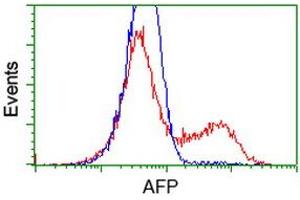 HEK293T cells transfected with either RC206622 overexpress plasmid (Red) or empty vector control plasmid (Blue) were immunostained by anti-AFP antibody (ABIN2452709), and then analyzed by flow cytometry. (alpha Fetoprotein anticorps)