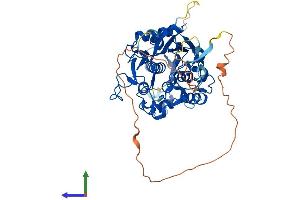 AlphaFold protein structure predicition of Human Recombinant ADAT1 Protein, UniprotID Q9BUB4