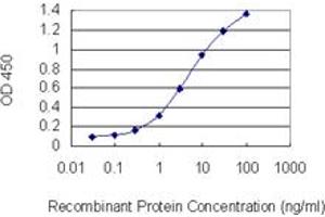 Detection limit for recombinant GST tagged SETD7 is 0.