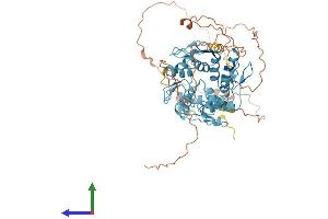 AlphaFold protein structure predicition of Human Recombinant ZNF440 Protein, UniprotID Q8IYI8